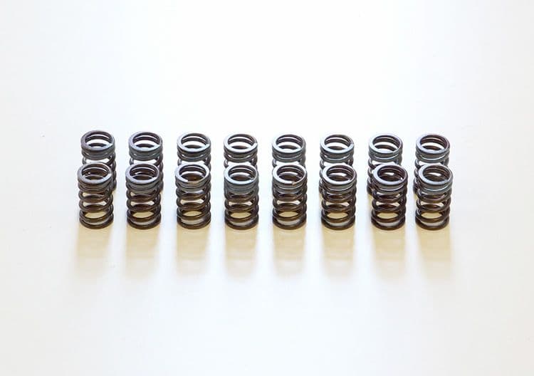 VALVE SPRING